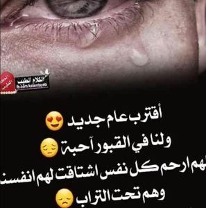 Meet your Posher, Radwan